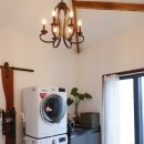 달시플러스 이미지