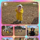 어울림숲어린이집 이미지