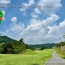 모나크cc 이미지