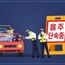 개인회생 상담, 법무법인 대륜 천안분사무소에서의 경험
