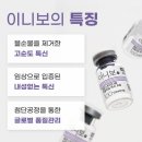보보라인