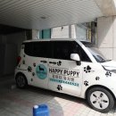 강남언니애견미용호텔 이미지