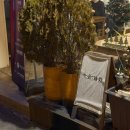 성안6길 | [울산 중구 맛집] 울산 중구 성안동 양식 데이트 맛집 | 녹음