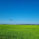 모비스 태양광발전소 이미지