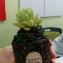 합포중학교 이미지