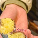 미러글램핑&풀빌라펜션 이미지