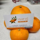 건욱농장 | [제주도 천혜향] 천혜향 구입 후기/제주도 여행 필수 코스/건욱이네 감귤/제주도 감귤 체험