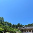 부자막국수 이미지