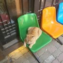 소백산 한우직판장