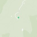 비선동 산삼 네이버블로그