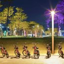 호수와 소나무 이미지