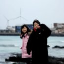 경소하라하우스 | 제주동쪽여행 필수코스 김녕해수욕장