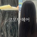 수성구 범어동 미용실, 코모탄헤어에서 밀본클리닉 받은 후기