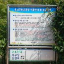 웅남주민운동장 네이버블로그