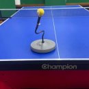 스윙탁구장