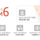 봉선공인중개사사무소 이미지