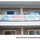 달마스테이 이미지