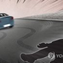 “피해자 고통 극심”…사고로 쓰러졌는데, 또 깔고 지나간 70대 징역형 이미지