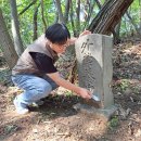 외금양계비 이미지