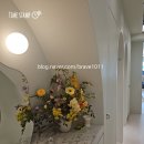 발레기초 기본동작 성인취미 서울대입구역 발레온도 학원 4개월 차 11회차 후기