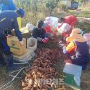 교동면-6 이미지