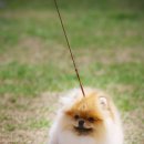 몽글몽글 이미지