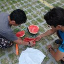 수도보건진료소 이미지