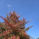 다루다필라테스 | [연남동 필라테스] 써튼 필라테스, 진정성 있는 클래식 필라테스의 기준! by 강현희 크루 강사.(Feat...