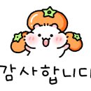 청솔속초삼대메밀국수