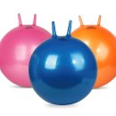 피트니스공 이미지