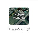 스카이뷰 이미지