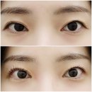 [와이오브로우] 마곡나루 속눈썹 잘하는 곳 추천 (feat.주차 무료)