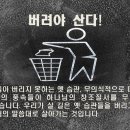 8월 2일(화) 버리고 따라야 산다. 이미지