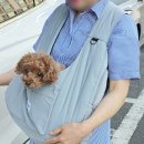 슬링백, 앞가방 겸용 강아지이동가방 토모백 초경량이라 활용도 굿!