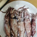 희옥농장 네이버블로그