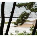 모래언덕 이미지