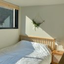 메리도그하우스 이미지