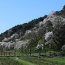 서산농장 이미지