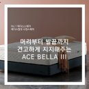 명품 크린플러스 | [수원에이스침대] 머리부터 발끝까지 견고하게 지지해주는 하드 타입 매트리스 ACE BELLA III [에이스...