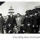 돼지팻션 이미지