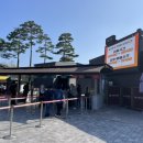 순천만의 추억 | 순천만국가정원 가을여행 🌾 단풍과 노을이 만난 순천가볼만한곳 후기