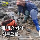 안면도덤앤더머 이미지