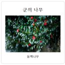 대륙물산 | [지명사전] 한반도의 시작이자 땅끝의 기상이 서린 곳, 해남(海南)의 유래와 역사