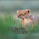 멍멍이와냥이