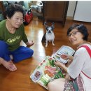 재용농장 이미지