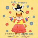 베일러연세이비인후과의원 이미지