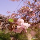 (주)서삼 이미지