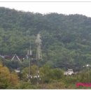 율치제 Daum카페