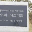 인천국제공항고속국도 옆 이미지