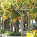 부천중앙공원 이미지